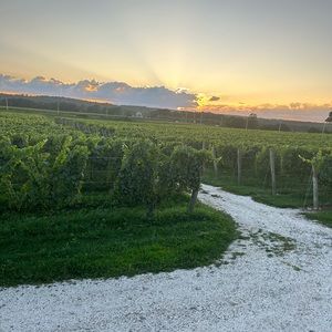 Meet your Posher, Talia